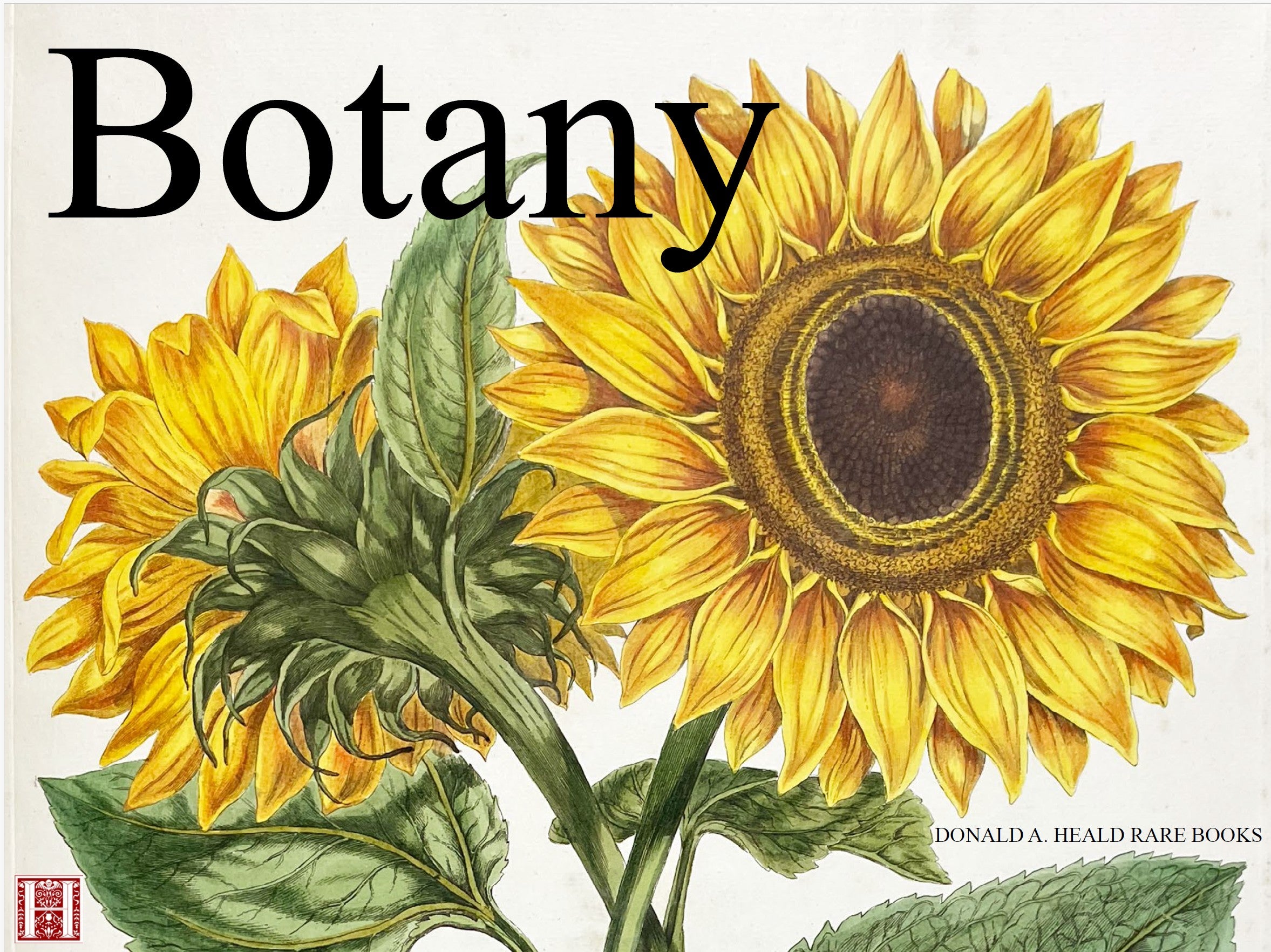 Botany - October 2025