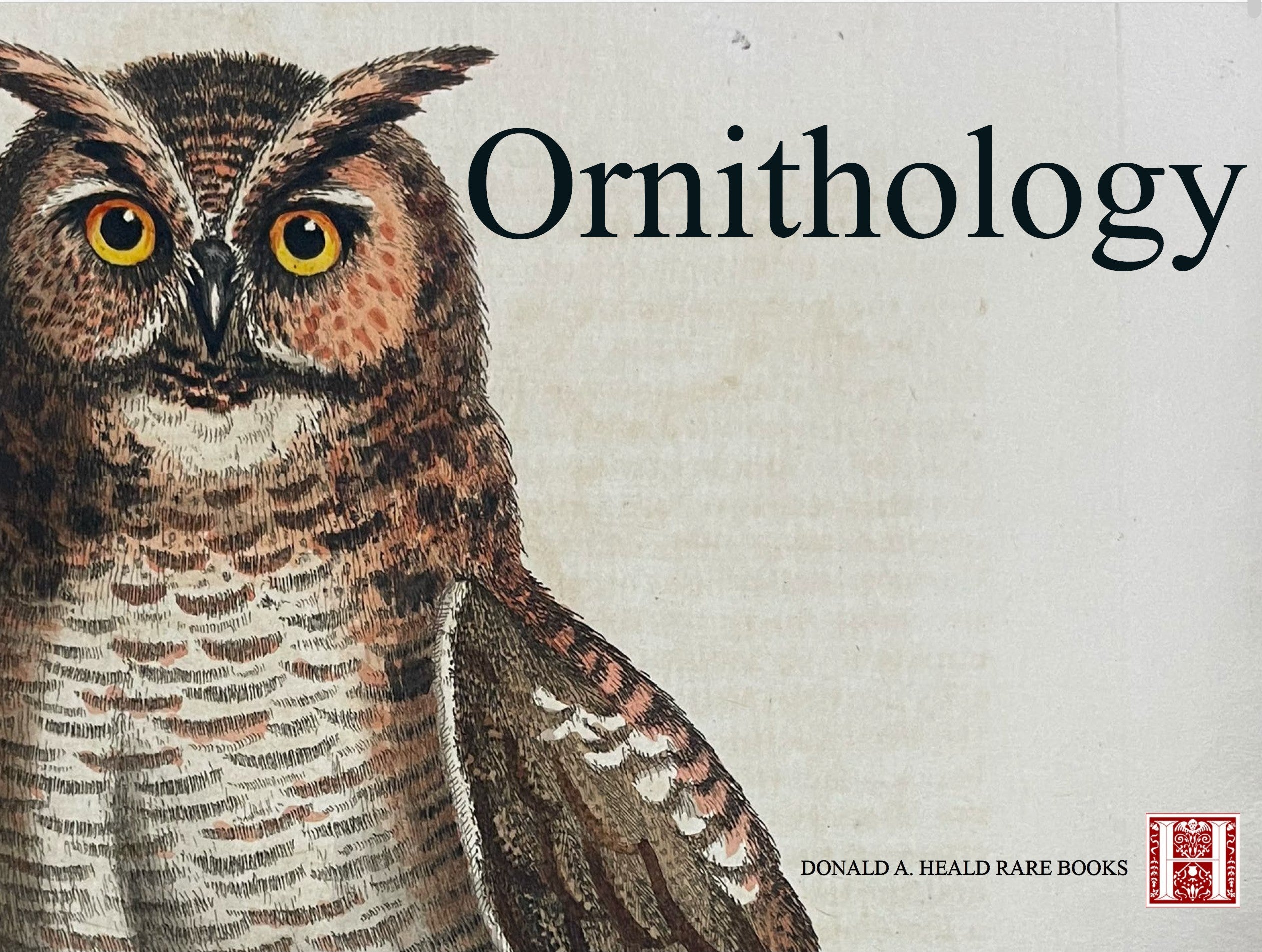 Ornithology - November 2025