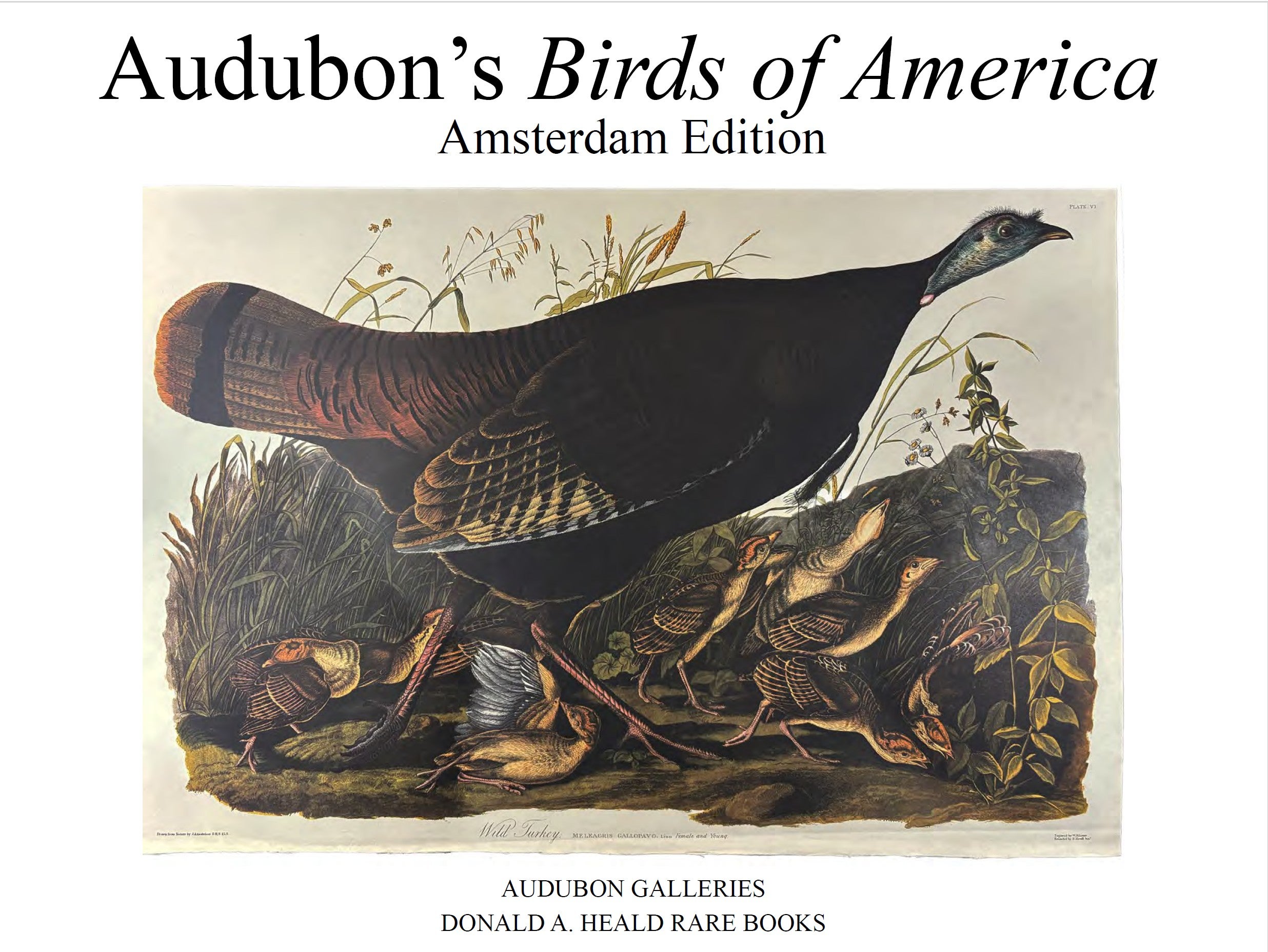 Audubon's Birds of America - Amsterdam Edition