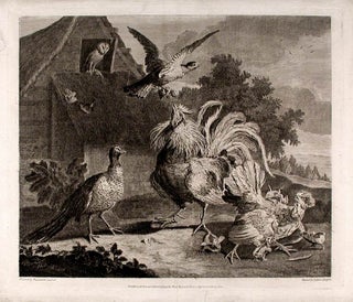 Item #3547 [A set of four ornithological prints]. Marmaduke CRADOCK