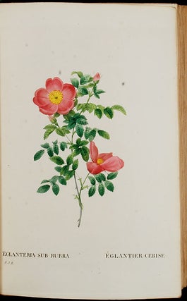 Les Roses, peintes par... Redouté...décrites et classes selon leur ordre naturel, par...Thory. Troisième edition, publiée sous la direction de M. Pirolle
