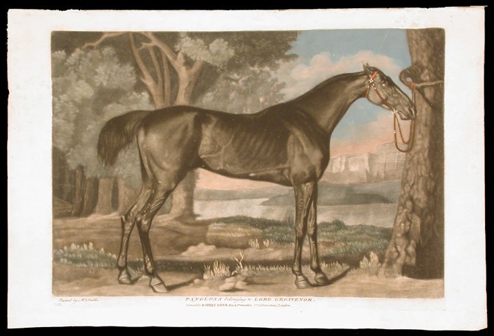 Item #4138 Pangloss belonging to Lord Grosvernor. George STUBBS, ANONYMOUS.