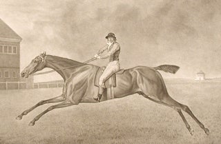 Baronet