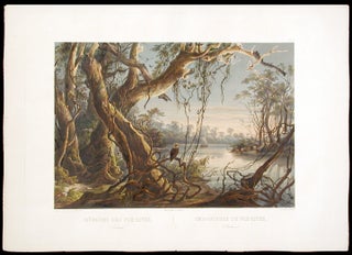 Item #4237 [Mouth of the Fox River (Indiana). Karl BODMER