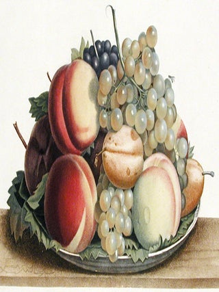 Assiette de Chasselas musque, Muscat noir, Prune-Albert, et Peche admirable