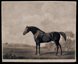 Item #5137 Protector. George STUBBS, George Townly STUBBS