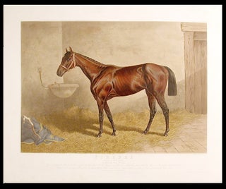 Item #5164 Firenze Queen of the Turf 1890 by Glenelg dam Florida... Owned by J.B. Haggin Esq....