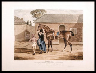 Item #5180 Antonio, the Winner of the Great St. Leger Stakes at Doncaster, 1819, (Fifty...