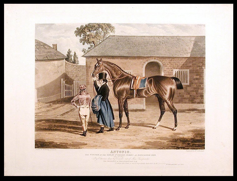 Item #5180 Antonio, the Winner of the Great St. Leger Stakes at Doncaster, 1819, (Fifty Subscribers.) By Octavian, dam by Evander, out of Miss Gunpowder. The Property of Thos. Ferguson, Esq. To whom this Print is most respectfully dedicated by the Publishers. After John Frederick HERRING.