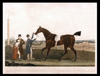 Item #5206 Tiresias Was bred by His Grace the Duke of Portland in 1816 was got by Soothsayer out...