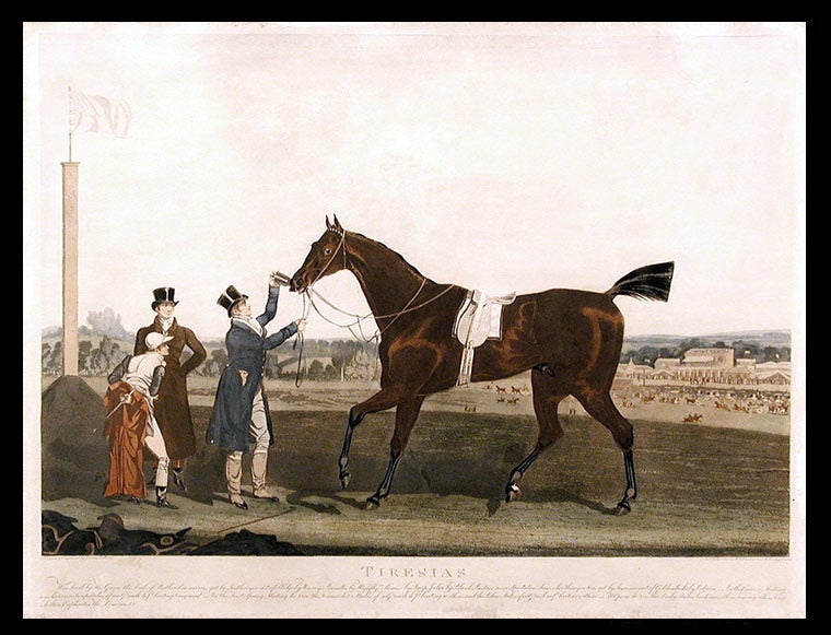 Item #5206 Tiresias Was bred by His Grace the Duke of Portland in 1816 was got by Soothsayer out of Sledge... At Epsom he won the Derby Stakes beating 15 others among whom were Sultan, Euphrates, The Dominic, &c. James POLLARD.
