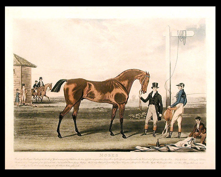 Item #5207 Moses Bred by His Royal Highness the Duke of York in 1819, got by Whalebone, his dam by Gohanna... In 1822 he won.. the Derby Stakes at Epsom beating Figaro, Hamden, Stamford, Marcellus, Mystic Wanton & five others... In 1823 at the Newmarket Craven Meeting won the Claret Stakes of 200Gs. each. James POLLARD.