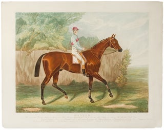 Item #5223 Melton. Winner of the Derby Stakes at Epsom 1885... As a two year old he won the New...