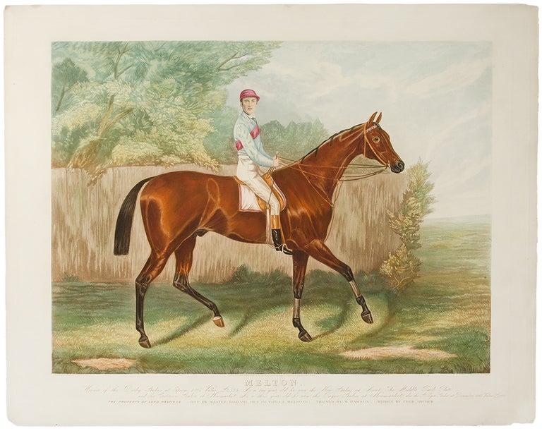 Item #5223 Melton. Winner of the Derby Stakes at Epsom 1885... As a two year old he won the New Stakes at Ascot, The Middle Park Plate and the Criterion Stakes at Newmarket. As a three year old he won the Payne Stakes at Newmarket, also the St. Leger Stakes at Doncaster 1885. The Property of Lord Hastings. Got by Master Kildare out of Violet Melrose. Trained by M. Dawson. Ridden by Fred Archer. After Sidney R. WOMBILL, fl.