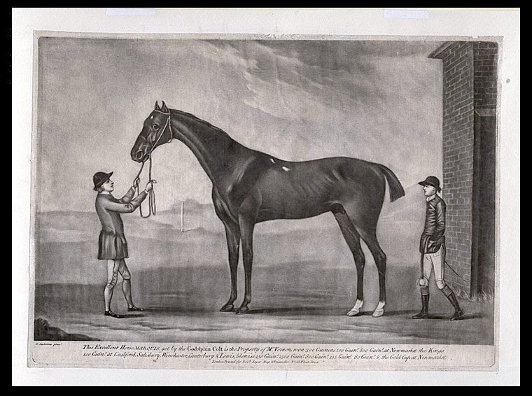 Item #5237 This excellent Horse Marquis, got by the Godolphin Colt is the Property of Mr. Vernon won 300 Guineas.... & the Gold Cup at Newmarket. After Francis SARTORIUS.