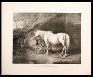 Item #5248 Primrose and Foal. James WARD