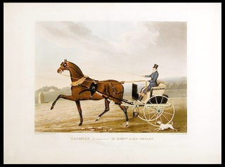 Item #5339 Coventry, the Property of the Rt. Honble. Lord Ongley. William M. FELLOWES, fl