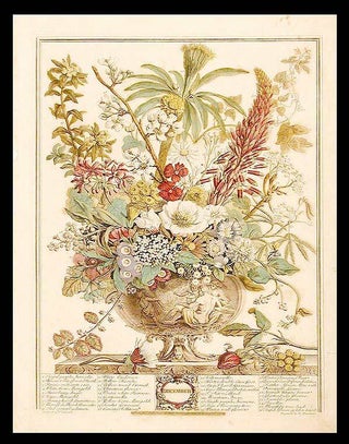 Item #5380 December. Robert - After Pieter CASTEELS FURBER, publisher