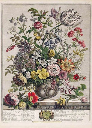 Item #5381 May. Robert - After Pieter CASTEELS FURBER, publisher