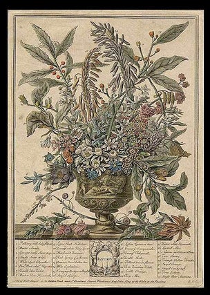 Item #5772 January. Robert - After Pieter CASTEELS FURBER, publisher