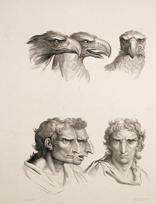 Item #6037 [Illustration of physiognomic resemblance between a Man and an Eagle]. After Charles...