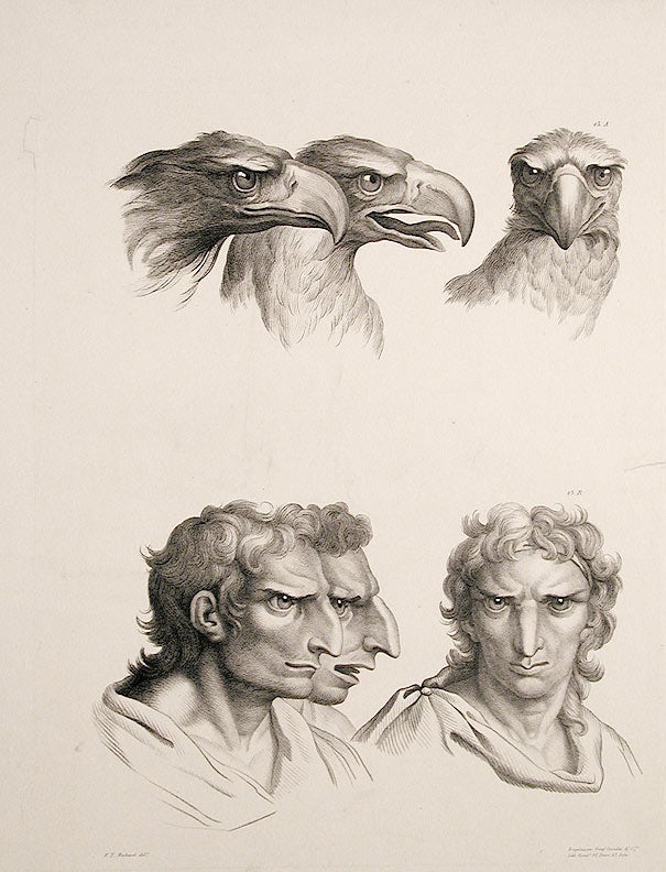 Item #6037 [Illustration of physiognomic resemblance between a Man and an Eagle]. After Charles LE BRUN, - After F. T. ROCHARD.