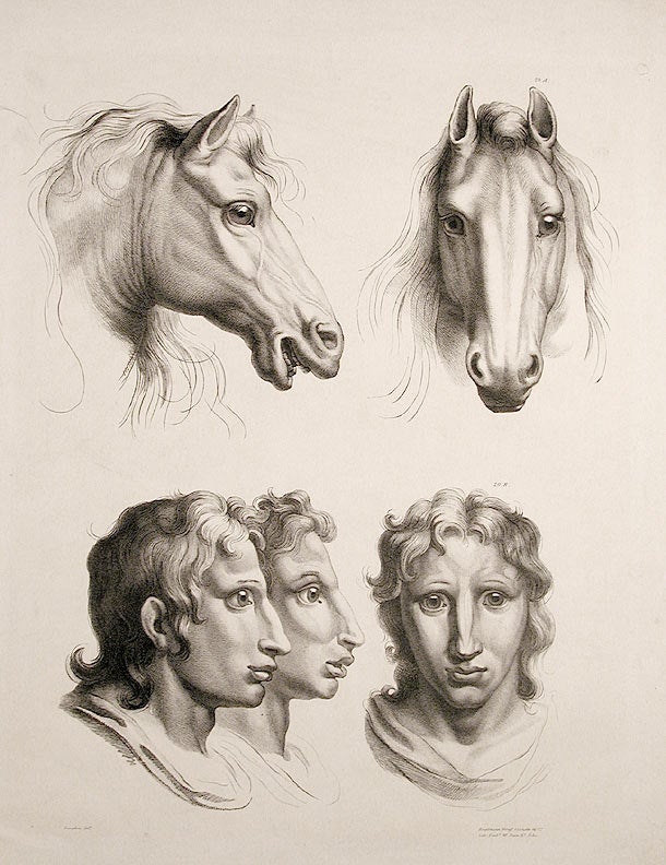 Item #6039 [Illustration of physiognomic resemblance between a Man and a Horse]. After Charles LE BRUN, - After LANGLOIS.