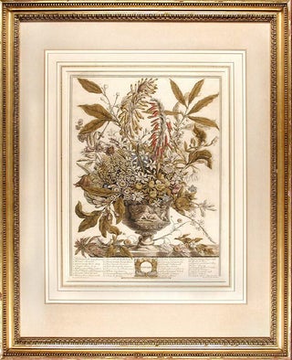 Item #6264 January. Robert - After Pieter CASTEELS FURBER, publisher