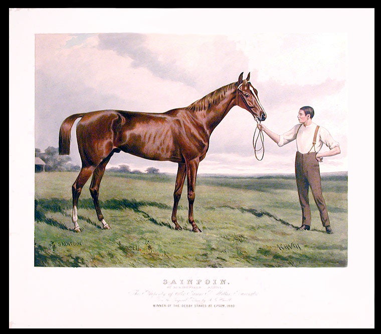 Item #6346 Sainfoin. By Springfield - Sanda. The Property of Sir James P. Miller, Baronet. From the Original Picture by A.C. Havell. Winner of the Derby Stakes at Epsom, 1890. After Alfred Charles HAVELL.
