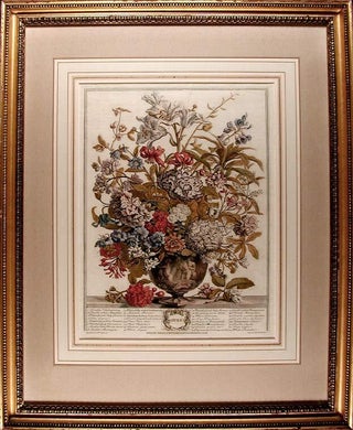 Item #6463 July. Robert - After Pieter CASTEELS FURBER, publisher