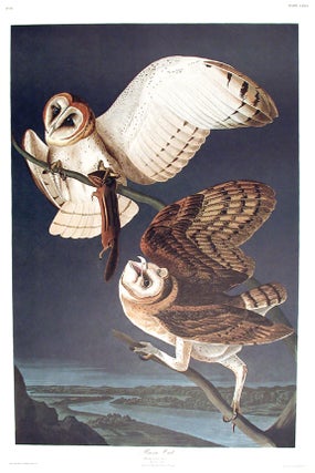 Item #7517 Barn Owl. From "The Birds of America" (Amsterdam Edition). John James AUDUBON
