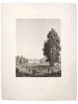 Item #8402 [Prairie de Buyuk-D&eacute;r&eacute;; Sur la Rive Europ&eacute;enne du Bosphore, &agrave; quatre lieues de...