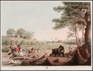 Item #8435 Driving a Bear out of Sugar Canes/Chassant un Ours des Cannes de Sucre. Samuel HOWITT