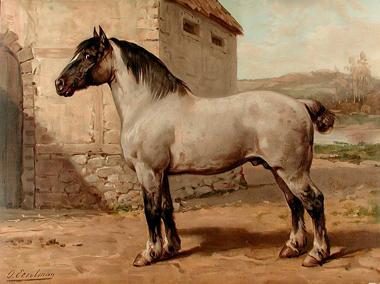 Item #8662 Het Bretagner Paard [Breton Horse]. Otto EERELMAN.