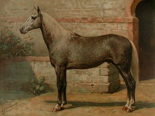 Item #8666 Het Algiersche Paard [Algerian Horse]. Otto EERELMAN