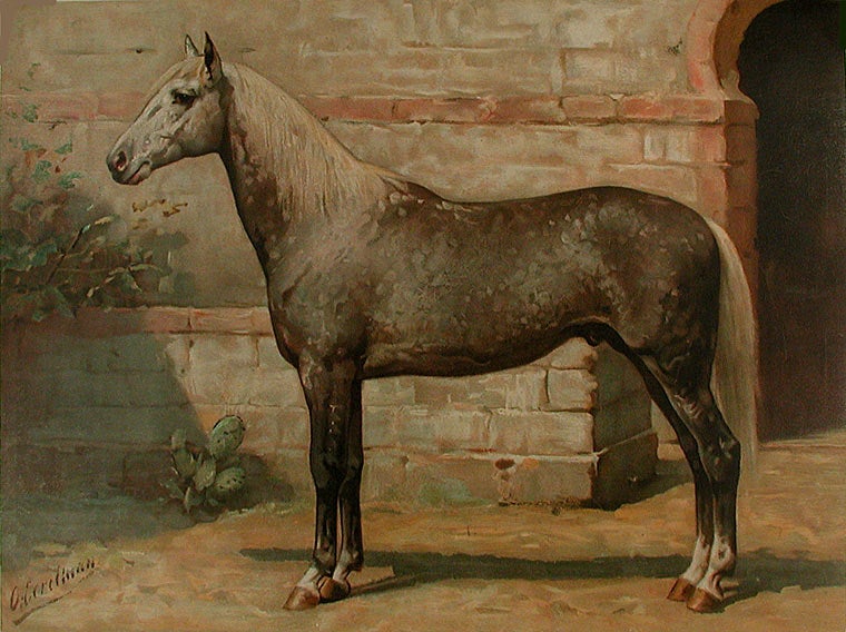 Item #8666 Het Algiersche Paard [Algerian Horse]. Otto EERELMAN.