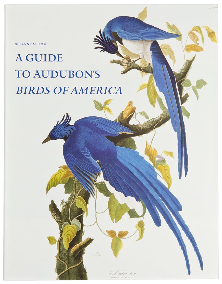 Item #8762 A Guide to Audubon's Birds of America: A Concordance Containing Current Names of the Birds, Plate Names With Descriptions of Plate Variants, a Description of the Bien Edition, and Corresponding Indexes. Susanne M. LOW.