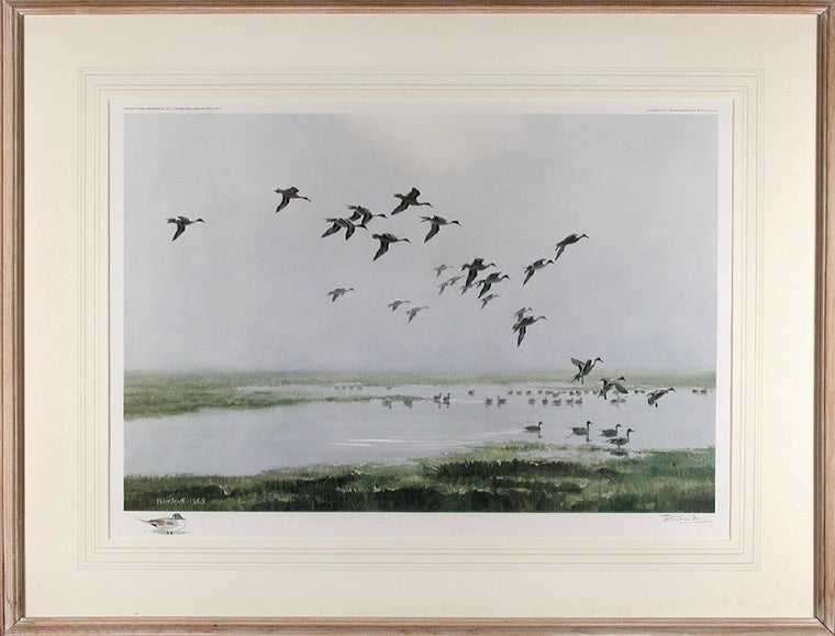 Item #9885 Pintails on a Hazy Day. After Sir Peter Markham SCOTT.