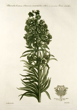 Item #10104 Tithymalus Creticus, Characias, angustifolius, vollosus & incarnus Tourn. Coroll....