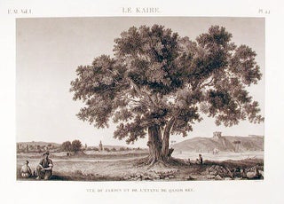 Item #10670 Le Kaire. Vue du Jardin et de l'Étang de Qasim Bey. DESCRIPTION DE L'EGYPTE
