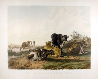 Item #12705 Our Herds, No. 4, Dairy Cow. Thomas Sidney COOPER, J. West GILES, lithographer