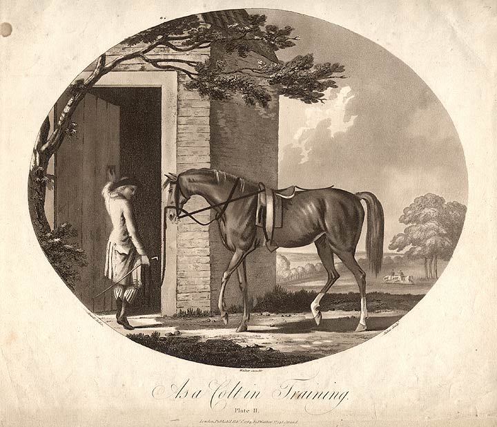 Item #13879 As a Colt in Training. Francis JUKES, after Charles ANSELL, b. 1752.