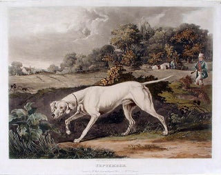 Item #14100 September. Henry after Francis Calcraft TURNER PYALL
