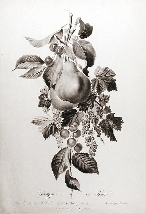 Item #14333 Grouppe de Fruits. Pierre François LE GRAND.