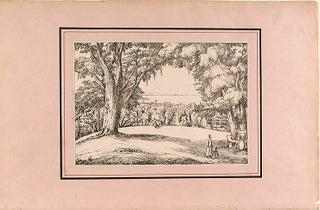 A Series of three views of the Botanic Garden on the island of St. Vincent, West Indies