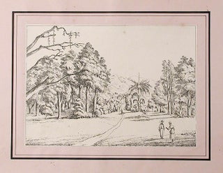 Item #15110 A Series of three views of the Botanic Garden on the island of St. Vincent, West...