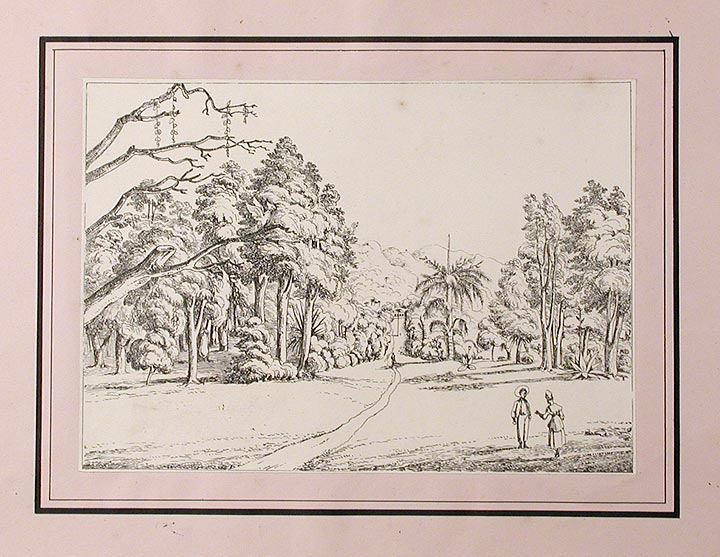 Item #15110 A Series of three views of the Botanic Garden on the island of St. Vincent, West Indies. The Rev. Lansdown GUILDING, artist.