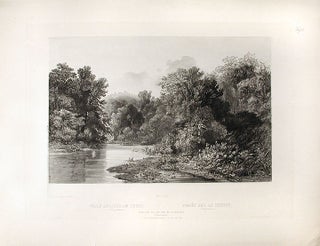 Item #15535 Forest Scene on the Lehigh (Pennsylvania). Karl BODMER
