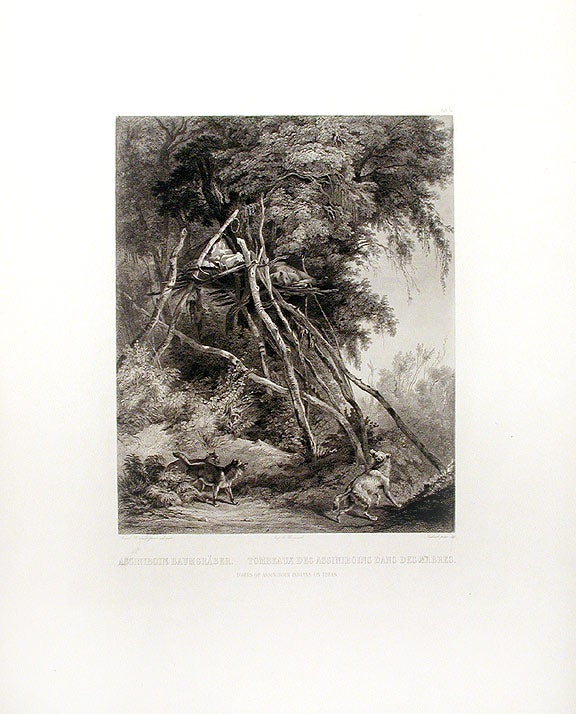 Item #15568 Tombs of Assiniboin Indians on Trees. Karl BODMER.
