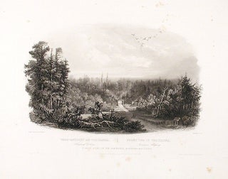 Item #15595 Forest Scene on the Tobihanna; Alleghany Mountains. Karl BODMER